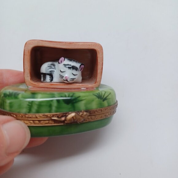 Limoges France Porcelain Cat in Box On Green Grass Trinket Box Peint Main - Picture 4 of 14